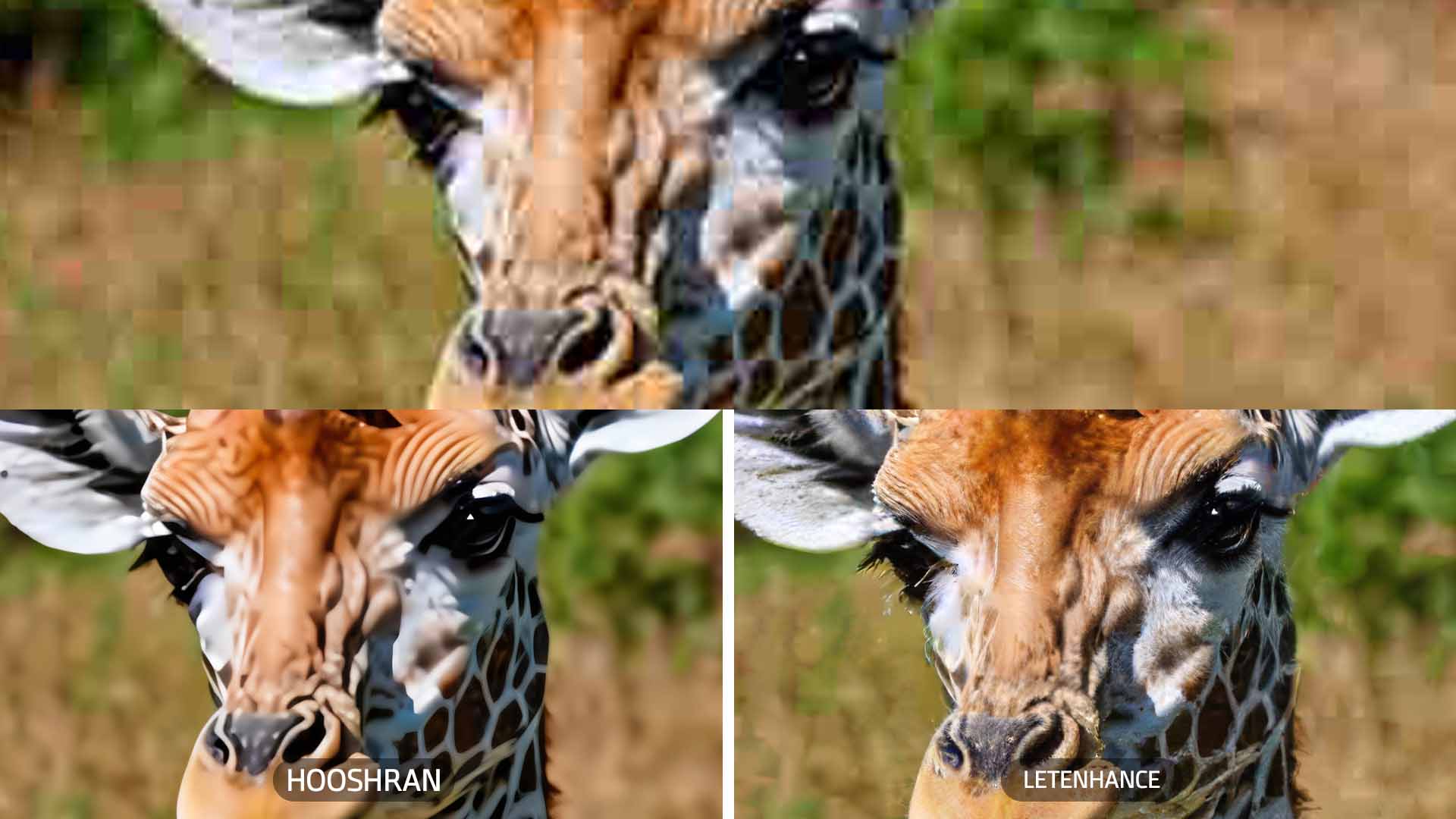 letsenhance برای افزایش کیفیت عکس آنلاین